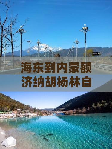 海东到内蒙额济纳胡杨林自由团