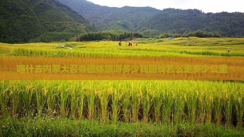 喀什去内蒙大召寺团体旅游