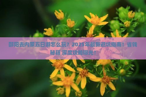 邵阳去内蒙五日游