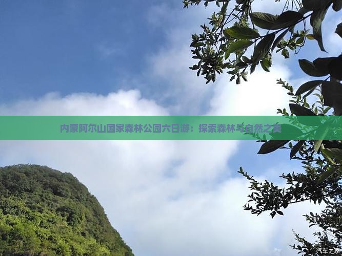 庆阳到内蒙阿尔山国家森林公园六日游