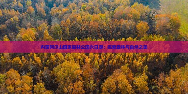 庆阳到内蒙阿尔山国家森林公园六日游