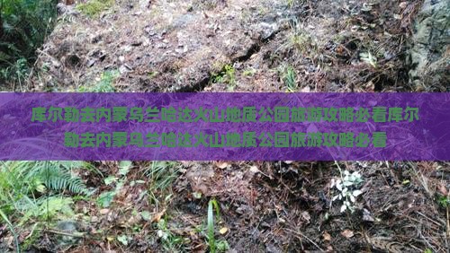 库尔勒去内蒙乌兰哈达火山地质公园旅游 库尔勒去内蒙乌兰哈达火山地质公园旅游