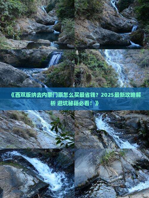 西双版纳去内蒙门票