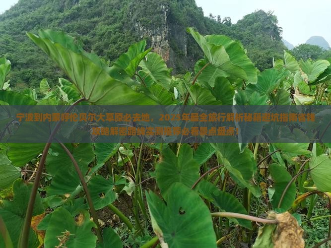 宁波到内蒙呼伦贝尔大草原必去地