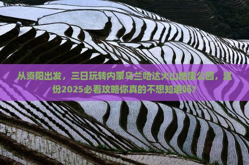 资阳到内蒙乌兰哈达火山地质公园三日游