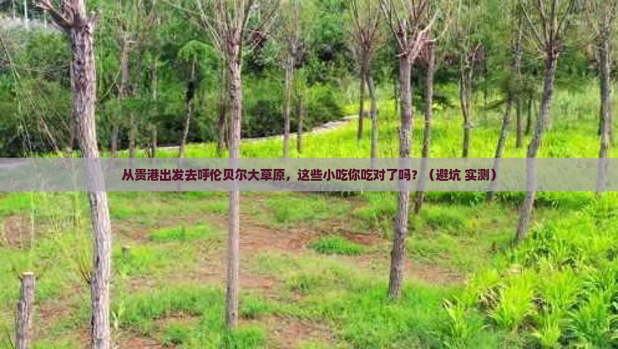 贵港到内蒙呼伦贝尔大草原旅游小吃