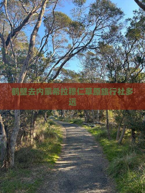鹤壁去内蒙希拉穆仁草原旅行社