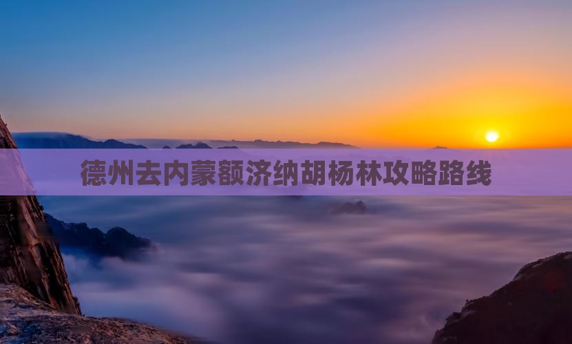 德州去内蒙额济纳胡杨林攻略