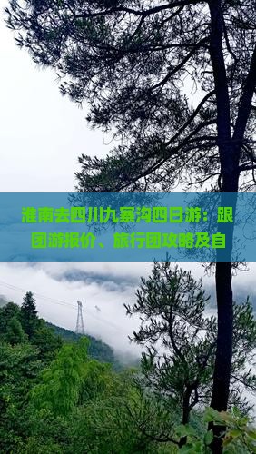 淮南去四川九寨沟四日游：跟团游报价、旅行团攻略及自助游费用汇总