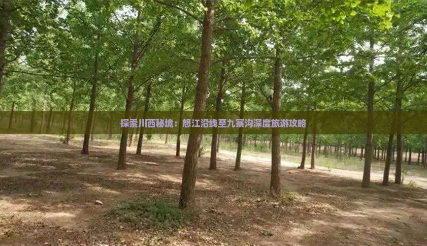 探索川西秘境：怒江沿线至九寨沟深度旅游攻略