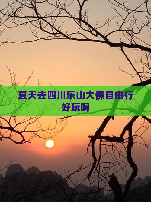 夏天去四川乐山大佛自由行好玩吗