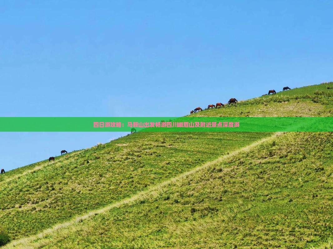 四日游攻略：马鞍山出发畅游四川峨眉山及附近景点深度游
