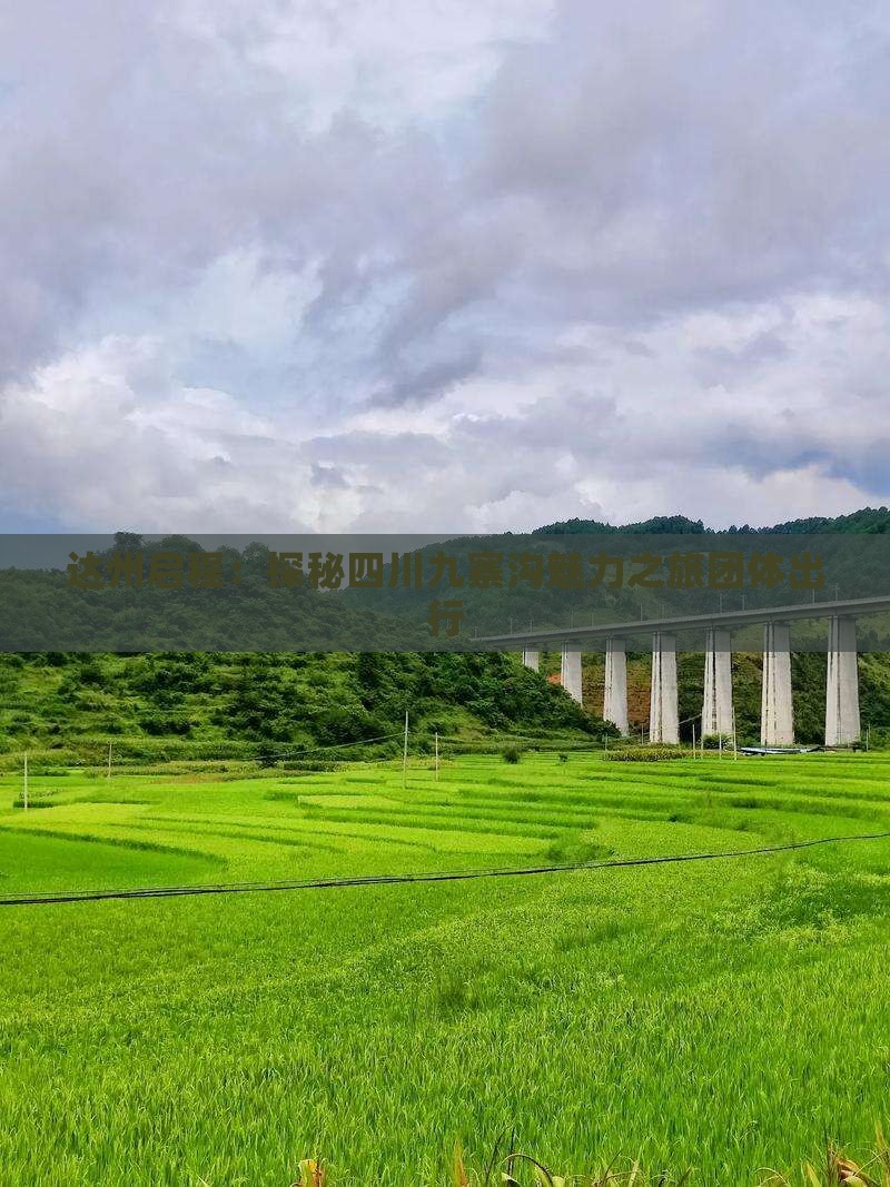 达州启程：探秘四川九寨沟魅力之旅团体出行