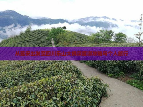 从延安出发至四川乐山大佛深度游攻略与个人旅行