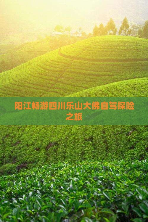 阳江畅游四川乐山大佛自驾探险之旅