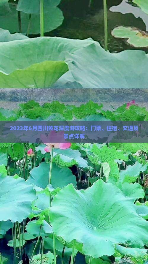 2023年6月四川黄龙深度游攻略：门票、住宿、交通及景点详解