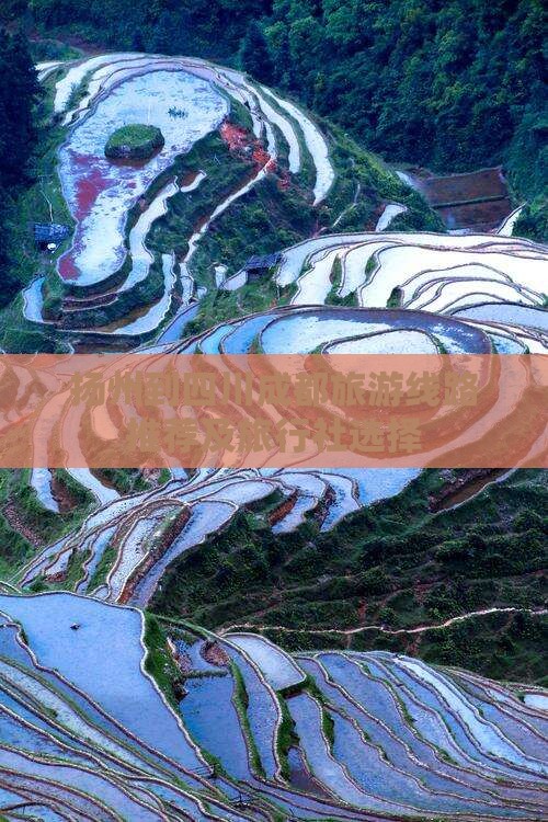 扬州到四川成都旅游线路推荐及旅行社选择