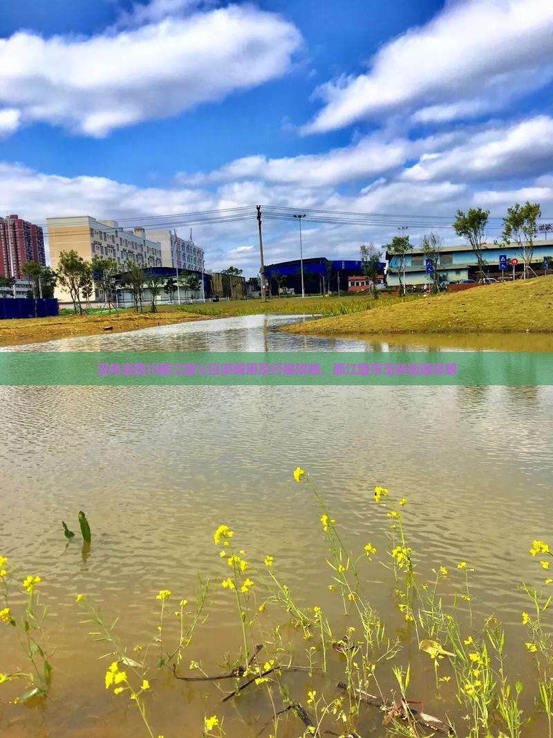 玉林去四川都江堰七日游费用及行程攻略，都江堰市玉林街道详解