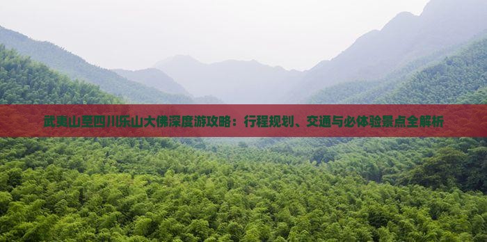 武夷山至四川乐山大佛深度游攻略：行程规划、交通与必体验景点全解析