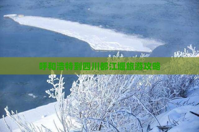呼和浩特到四川都江堰旅游攻略