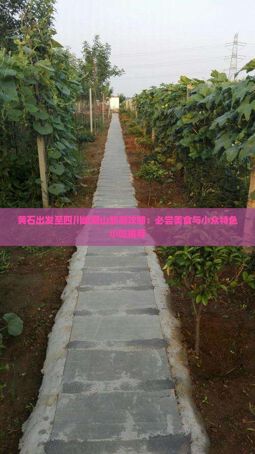 黄石出发至四川峨眉山旅游攻略：必尝美食与小众特色小吃推荐