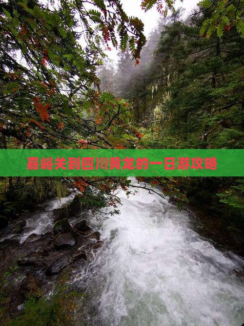 嘉峪关到四川黄龙的一日游攻略