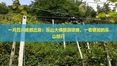 一月四川成都出发：乐山大佛旅游攻略，一看便知的乐山旅行