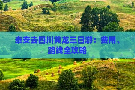 泰安去四川黄龙三日游：费用、路线全攻略