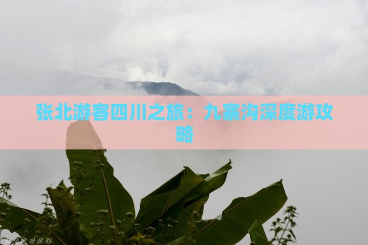 张北游客四川之旅：九寨沟深度游攻略