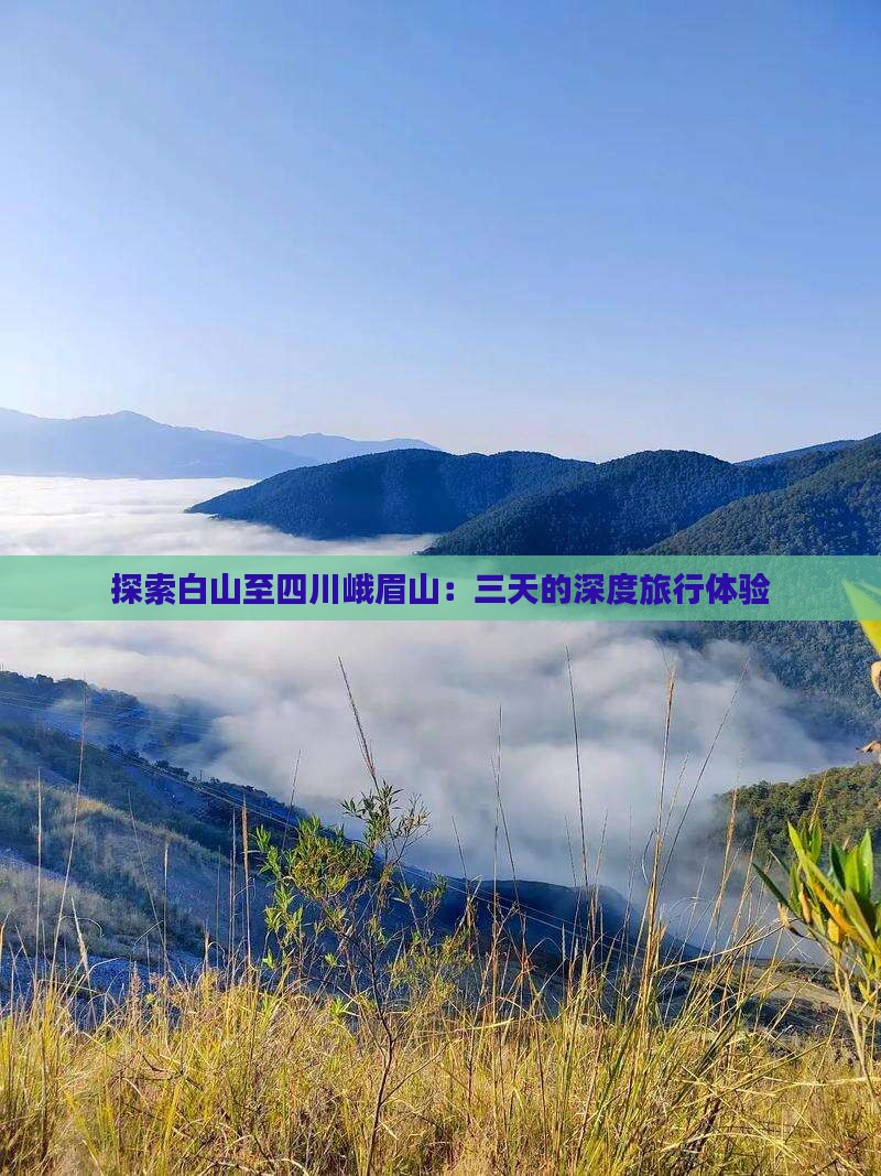 探索白山至四川峨眉山：三天的深度旅行体验