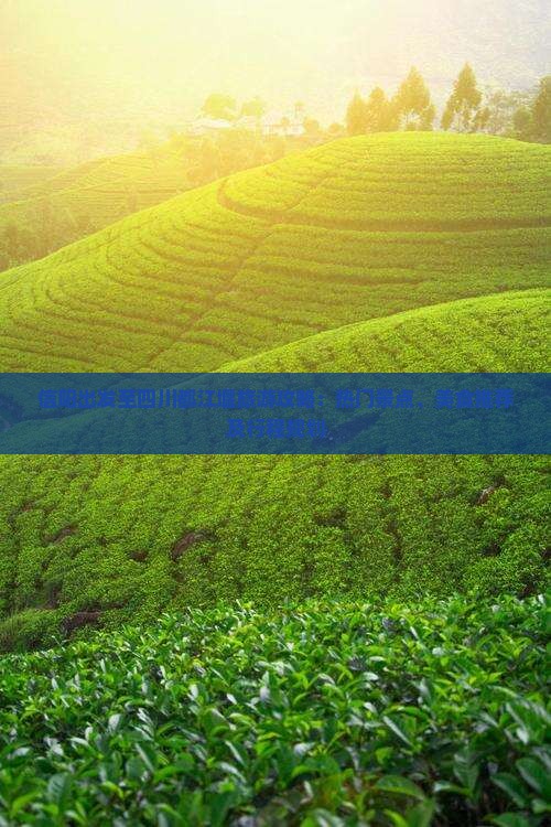 信阳出发至四川都江堰旅游攻略：热门景点、美食推荐及行程规划