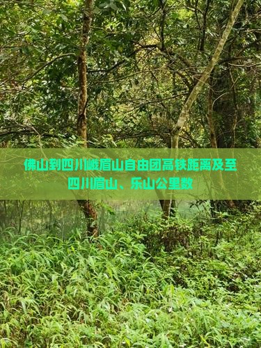 佛山到四川峨眉山自由团高铁距离及至四川眉山、乐山公里数