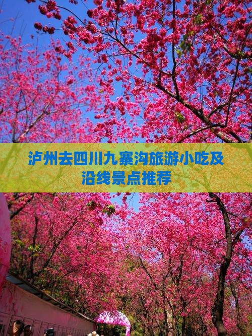泸州去四川九寨沟旅游小吃及沿线景点推荐