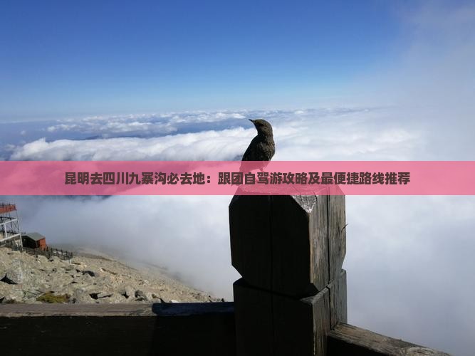 昆明去四川九寨沟必去地：跟团自驾游攻略及最便捷路线推荐