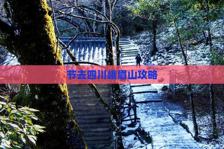 节去四川峨眉山攻略