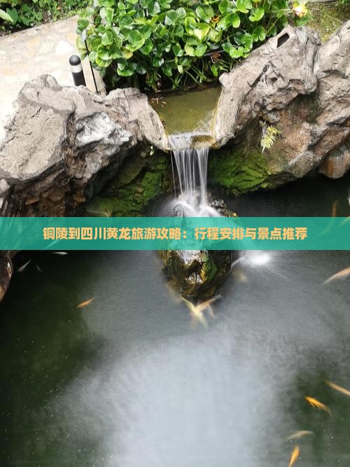 铜陵到四川黄龙旅游攻略：行程安排与景点推荐