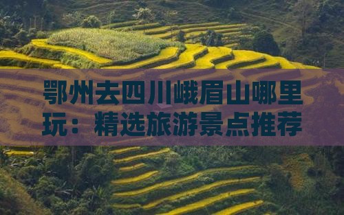 鄂州去四川峨眉山哪里玩：精选旅游景点推荐