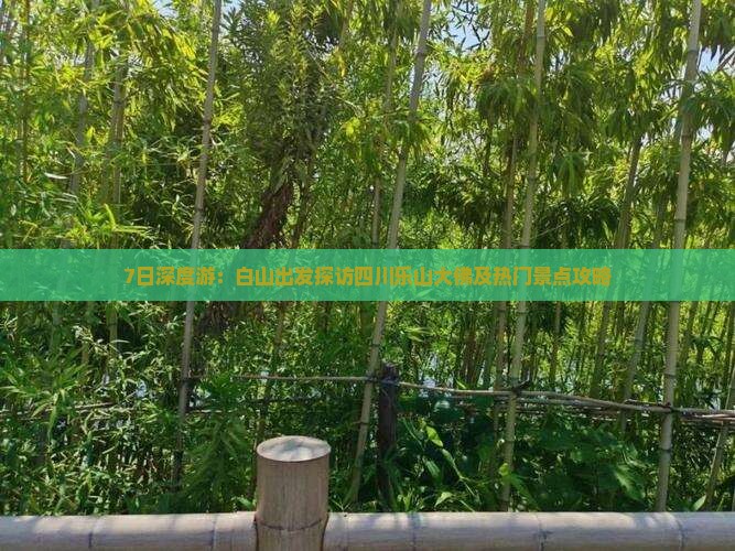 7日深度游：白山出发探访四川乐山大佛及热门景点攻略