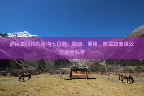 酒泉去四川九寨沟七日游：路线、费用、自驾攻略及公里数全解析