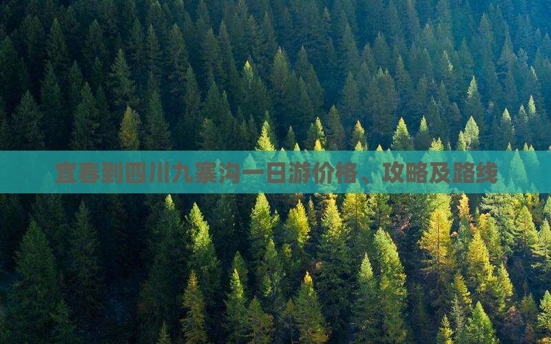 宜春到四川九寨沟一日游价格、攻略及路线