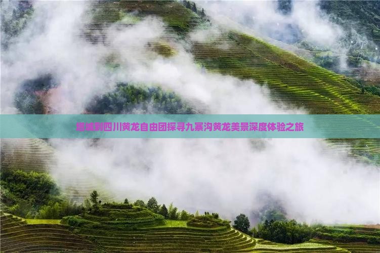 塔城到四川黄龙自由团探寻九寨沟黄龙美景深度体验之旅