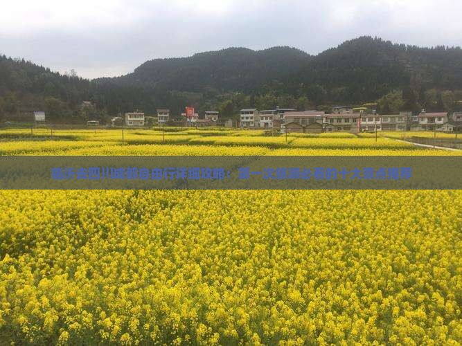 临沂去四川成都自由行详细攻略：第一次旅游必看的十大景点推荐
