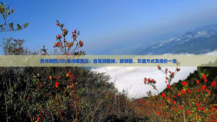 焦作到四川九寨沟哪里玩：自驾游路线、旅游团、交通方式及报价一览