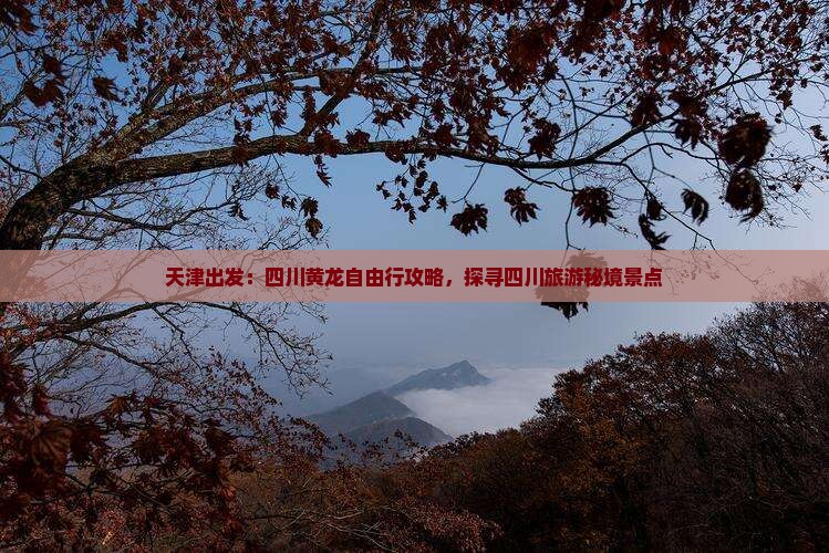 天津出发：四川黄龙自由行攻略，探寻四川旅游秘境景点