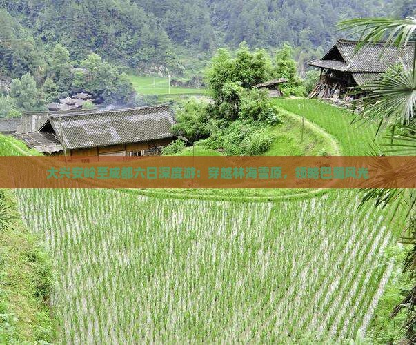 大兴安岭至成都六日深度游：穿越林海雪原，领略巴蜀风光