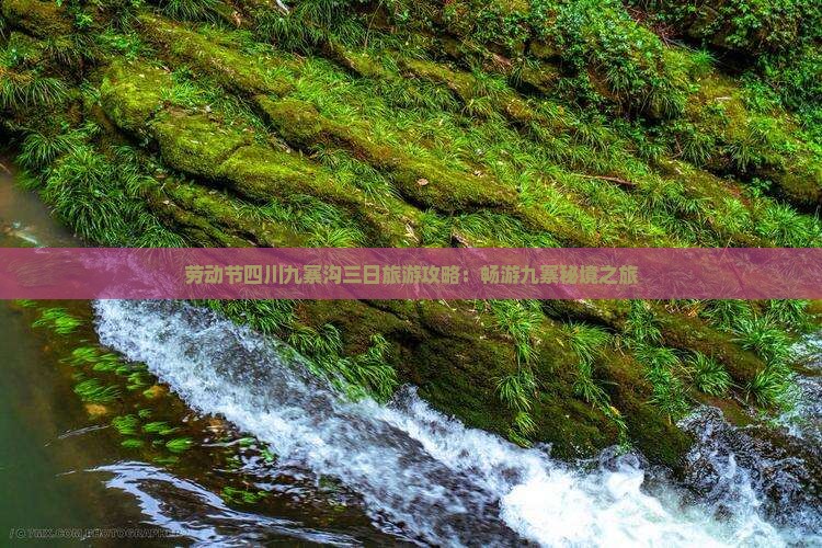 劳动节四川九寨沟三日旅游攻略：畅游九寨秘境之旅