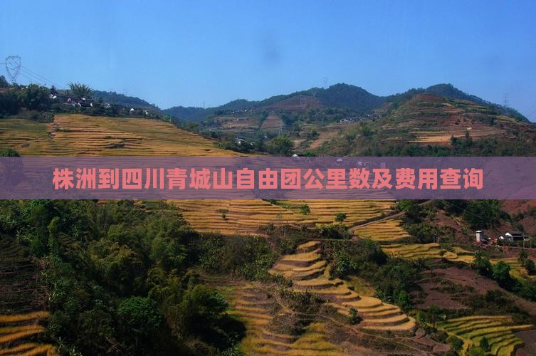 株洲到四川青城山自由团公里数及费用查询