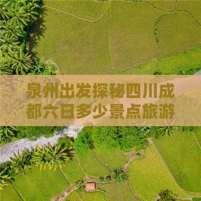 泉州出发探秘四川成都六日多少景点旅游攻略