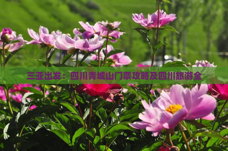三亚出发：四川青城山门票攻略及四川旅游全