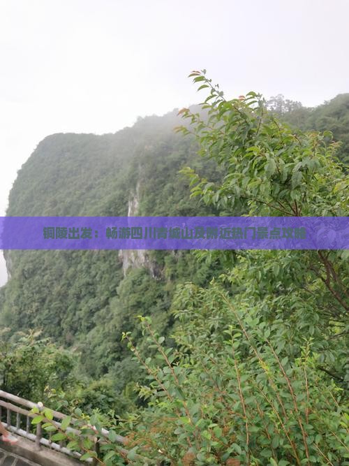 铜陵出发：畅游四川青城山及附近热门景点攻略